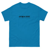 Womens Classic Everyday sapphire Gymplode t-shirt with signature logo print, front view